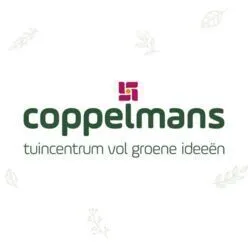 Logo van Coppelmans Oirschot - Horeca