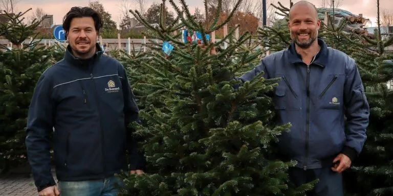 Kerstboomverkoper