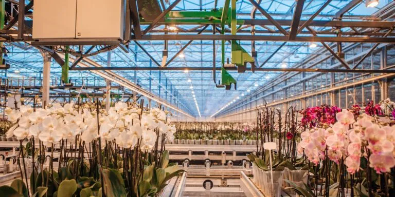 Productiemedewerker tuinbouw