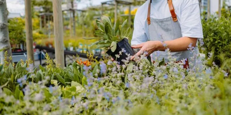 Verkoopmedewerker tuinmeubels en barbecues