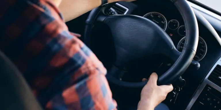 Vrachtwagenchauffeur CE - Dagritten met vers producten