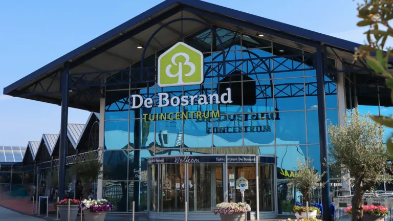 Medewerker kerst