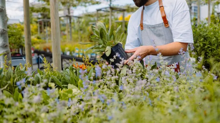 Medewerker afdeling tuinplanten