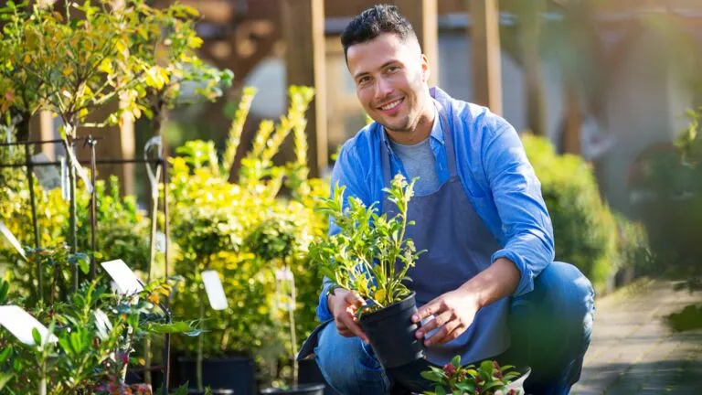 Inrichter, verkoop en arrangeur (perk)planten