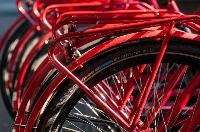 Fietstechnicus